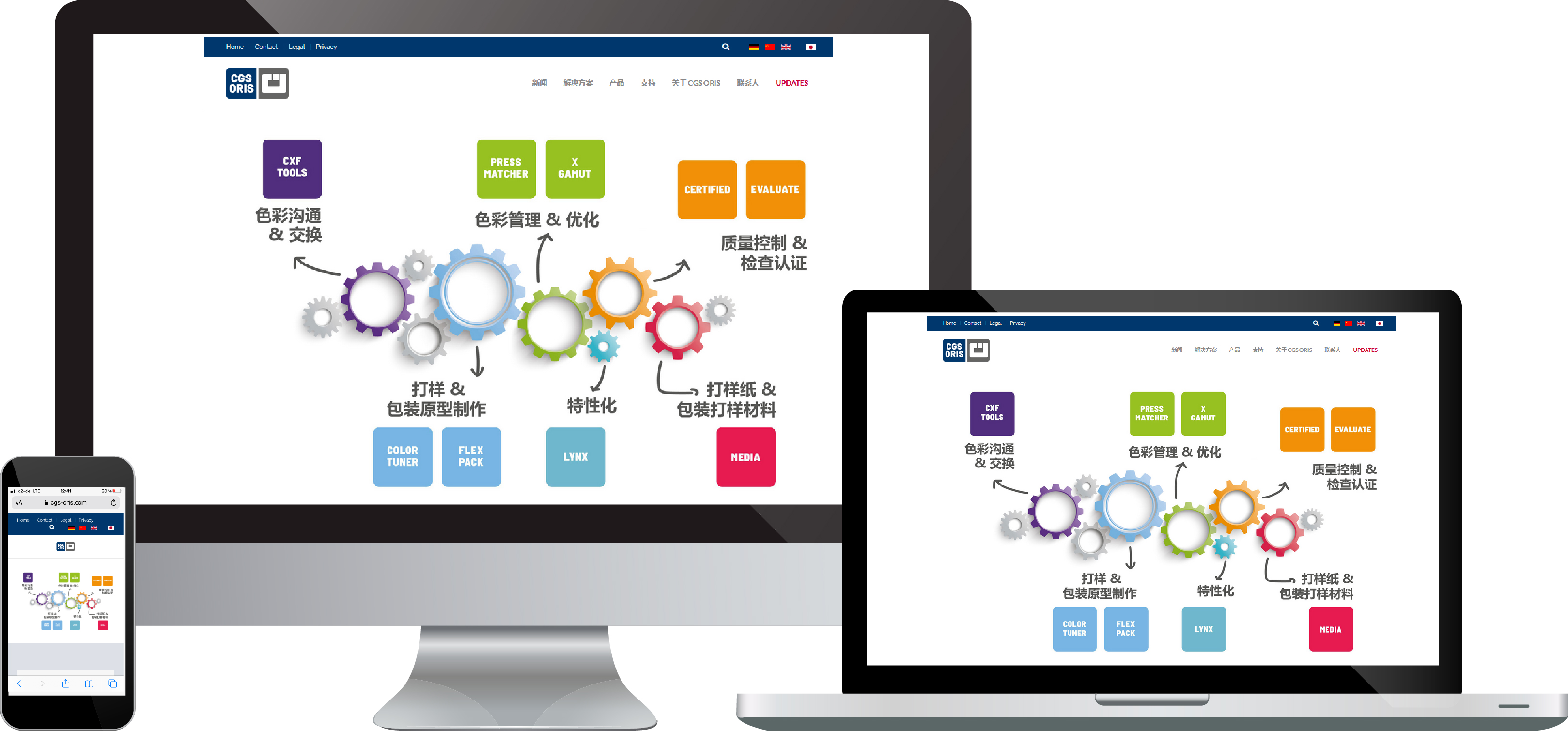 CGS ORIS Chinese Website